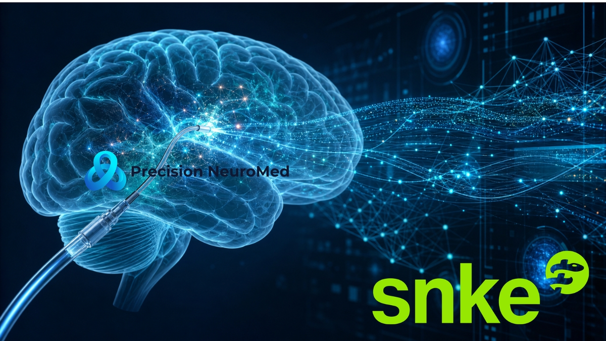 Snke und Precision NeuroMed greifen Hirntumore an