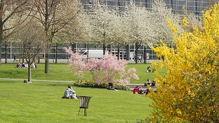 Hannover Messe 2010