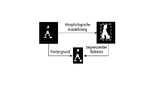 Bild 2. Schematische Darstellung der Objektsegmentierung.