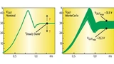 Monte-Carlo-Simulation