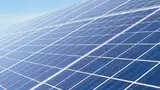 Die Q.Pro-Module aus multikristallinen Solarzellen eignen sich für kleine und mittelgroße industrielle Aufdach-Anlagen.