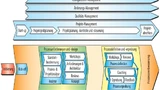 Bild 3. Von Renesas angepasstes Phasenmodell zur Prozessverbesserung.