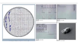 Bild 1. Graphische Darstellung von Defekten auf einem Silizium-Wafer.