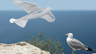 »SmartBird« und Silbermöwe