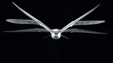 Der Flügelschlag des »SmartBird«: Schlagbewegung und Torsionsbewegung