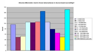 Anzahl der Mitarbeiter in dem Unternehmen der Teilnehmer.