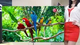 Nur 7,5 kg schwer und 4 mm dick ist der OLED-TV von LG mit 55 Zoll Bilddiagonale.