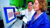 Bild 1: Mit Hilfe von Computerprogrammen lassen sich riesige Datenmengen analysieren