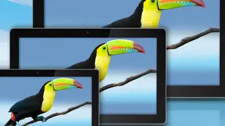 Je nach Einsatzzweck wartet die »Toucan«-Panel-PC-Serie mit der entsprechenden Touch-Technologie auf.