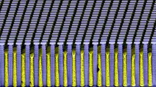Das Absorptionsgitter besteht aus hochabsorbierendem Gold, das in eine aus Silizium gefertigte Form gefüllt wurde. (Elektronenmikroskopische Aufnahme)