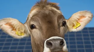Die Gemeinde Wildpoldsried im Allgäu erzeugt aus erneuerbaren Energien mehr als dreimal so viel Strom, als sie selbst verbraucht. 