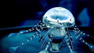 Einer Qualle nachempfunden ist der AquaJelly. Die künstliche autonome Qualle weist als selbststeuerndes System ein ausgeprägtes Schwarmverhalten auf.