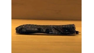 Meshworm