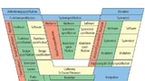 Das komplexe „V-Modell der Entwicklung“, wie es die Heitec AG (www.heitec.de) anwendet. Dabei kommt der lückenlos nachvollziehbaren Dokumentation aller Einzelschritte und -bereiche besonders hohe Bedeutung zu - „Entwicklung ist Dokumentation“. 