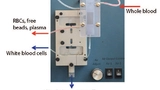 CTC-iChip