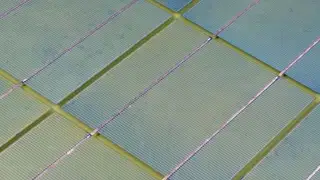 farbiges Solarpanel von ertex solar