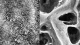 Aus dem ungeordneten Gemisch (links) bildet sich unter Zugspannung ein leitfähiges Netzwerk aus Nanopartikeln (rechts). 