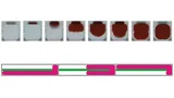 Die Pixel von Electrowetting-Displays sind analog ansteuerbar, 3D-Anordnung mit Reservoir