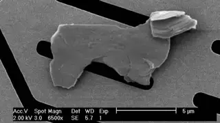 Das kleine Hündchen hat seinen Weg auf einen Chip in Joanna Grace V. De la Cruz Labor bei Analog Devices gefunden.