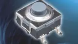 Ein klassischer Taster von C&K Components 