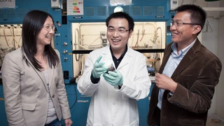 Die Entwickler des neuen Polymerbinders (von links): Professor Zhenan Bao, Chao Wang mit einem Glas der Polymerlösung und Professor Yi Cui.