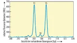 Darstellung von DNA-Informationen mit zwei Peaks, anhand derer der Genotyp eines Individuums (13, 15) abgeleitet werden kann.