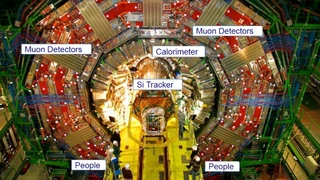 Der Inner-Tracker aus Silizium-Detektoren wird in den Kalorimeterbereich eingeführt, in dem neutrale und geladene Teilchen detektiert werden. 