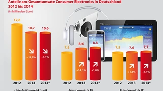 Der Umsatz der Konsumelektronik 2013 aufgeteilt in drei Produktbereiche.