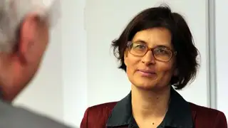 Dr. Ilka Luck, Picon Solar