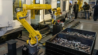 Bin-Picking-Zelle von Fanuc