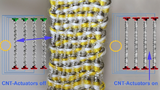 Kohlenstoff-Nanoröhrchen, Carbon Nanotubes, artificial muscles, künstliche Muskeln, Aktoren, University Wollongong