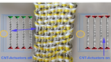 Kohlenstoff-Nanoröhrchen, Carbon Nanotubes, artificial muscles, künstliche Muskeln, Aktoren, University of Wollongong