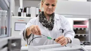 Produktion der LED-Straßenleuchten von Clever-Lights: Zur Verkabelung dienen unter anderem M12-Steckverbinder von Phoenix Contact.