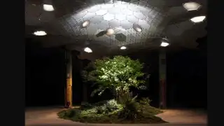 ames Ramsey, New York (USA), für „The Lowline“, N.Y.