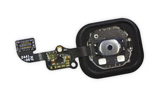 Der Home-Button mit Fingerabdruck-Sensor.