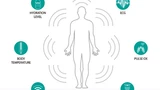 Wellness-Platform von Maxim