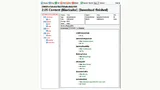 Screenshot eines Webbrowsers unter Nutzung eines CoAP-Plugins