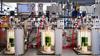 Laborbank mit LED-Biorekatoren 