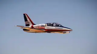 The Bloodhound Project