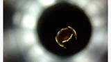 Eine gequetschte Mittelleiterhülse in einem Koaxialverbinder führt zur Herabsetzung der Signalqualität