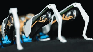 Die Beine der Bionic Ant