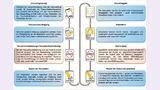 Schematische Darstellung des Prozesses einer Versuchsdurchführung