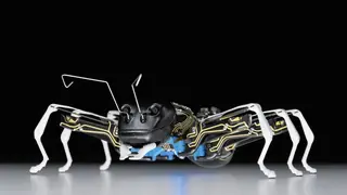 BionicANTs2