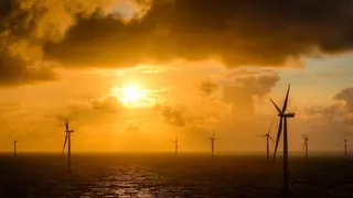 Von der Plattform aus sieht man Windturbinen, soweit das Auge reicht.