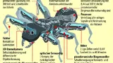 Bild 1. In jedem als BionicANT bezeichneten Miniroboter sind zahlreiche Komponenten, Techniken und Funktionen auf engstem Bauraum kombiniert. 