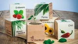 ecocube: Pflanzen im Holzwürfel.  Der ecocube-Holzwürfel beinhaltet ein spezielles Nährgranulat, Dünger und Saatgut.