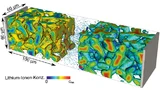 Ergebnis einer Simulation auf der Skala der Elektrodenmikrostruktur