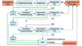 Recovery Pattern: Checkpoint mit Voter