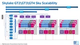 ie GPU-Architektur kommt je nach GPU-Variante mit 24 bis 72 Schattierern daher.