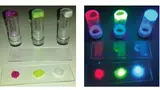 Die abgebildeten drei Typen von Fluoreszensproteinen können in Gelform einfach zu einem dünnen Film für die LED-Beschichtung verarbeitet werden.